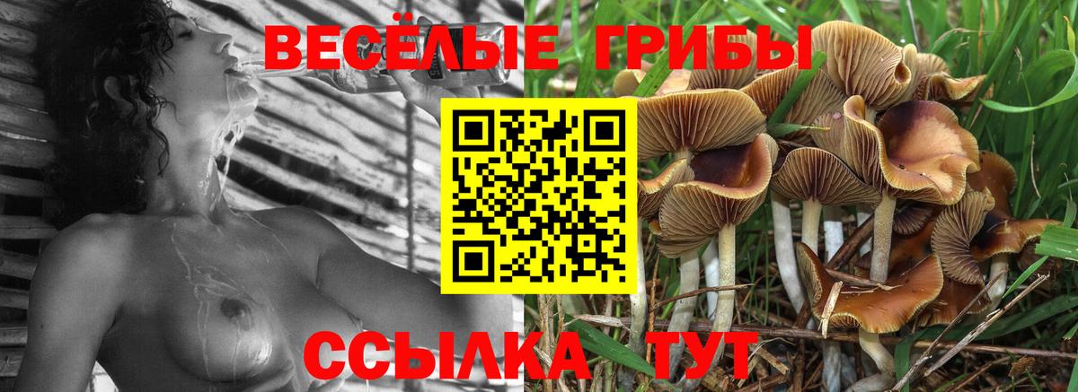 Псилоцибиновые грибы MAGIC MUSHROOMS Саяногорск